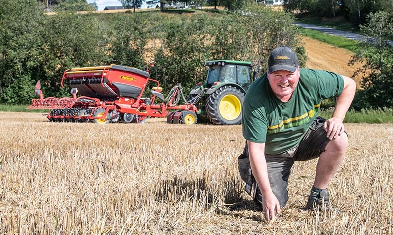 Vidar Strøm direktesådde Lizzy høsthvete under fine forhold.