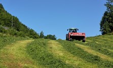 Tiltak for høg ytelse med årets grovfôr