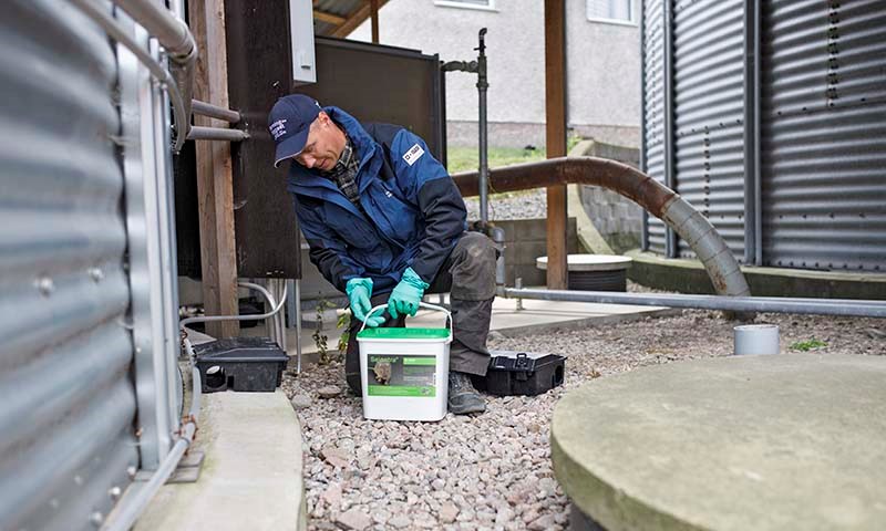 Person som setter ut åtestasjon ved husvegg