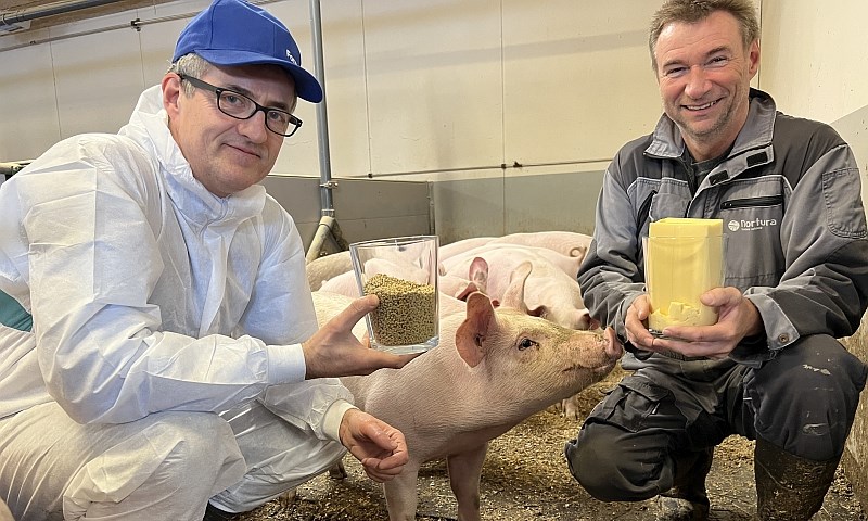 Bonde med karamellpudding til grisen komplettert med kraftfôr fra Felleskjøpet.