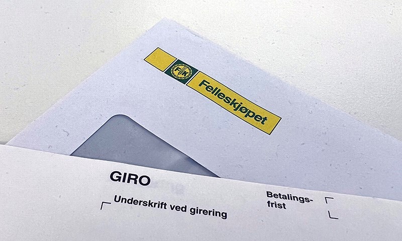 Slik unngår du fakturagebyr
