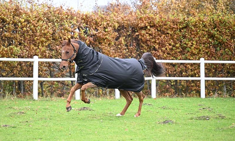 Slik velger du riktig hestedekken