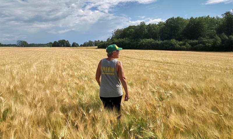 Kontrollør ute i åker