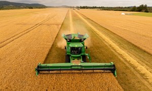 Stabil underliggende drift i 2024