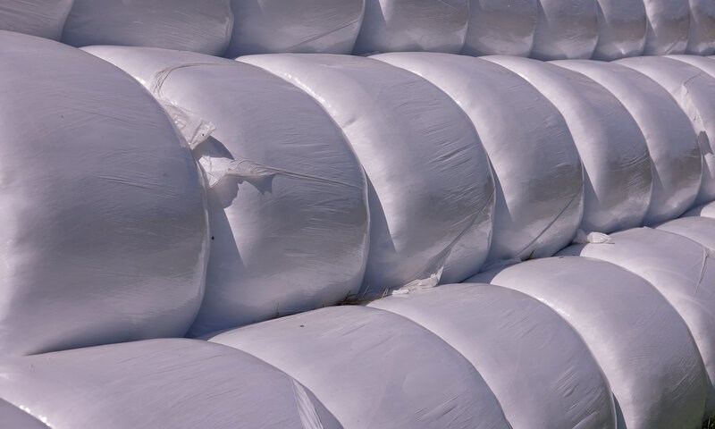 Grovfôranalyse og fôrplanlegging – nøkkelen til lønnsom drift