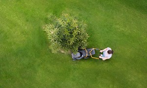Velg riktig gressklipper til ditt behov