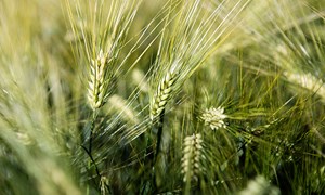 Landbruket tar ansvar i samfunnsoppdraget for bærekraftig fôr