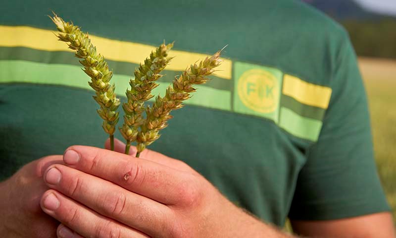 Fra jord til bord med lavere klimaavtrykk 