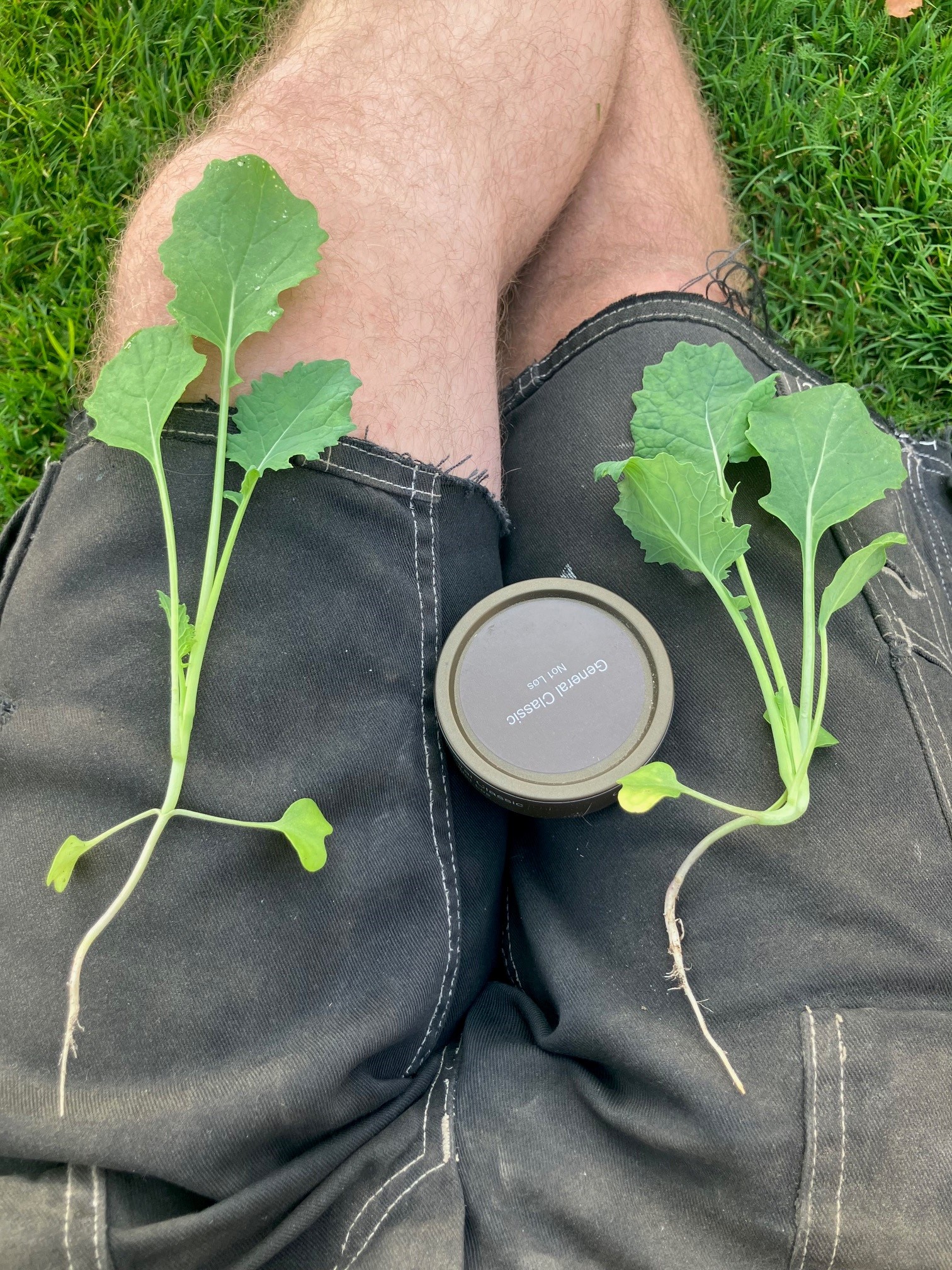 HØSTRAPS-PLANTER.jpg