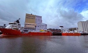 Felleskjøpet offentliggjør granskingsrapporten om Vitamin D-saken