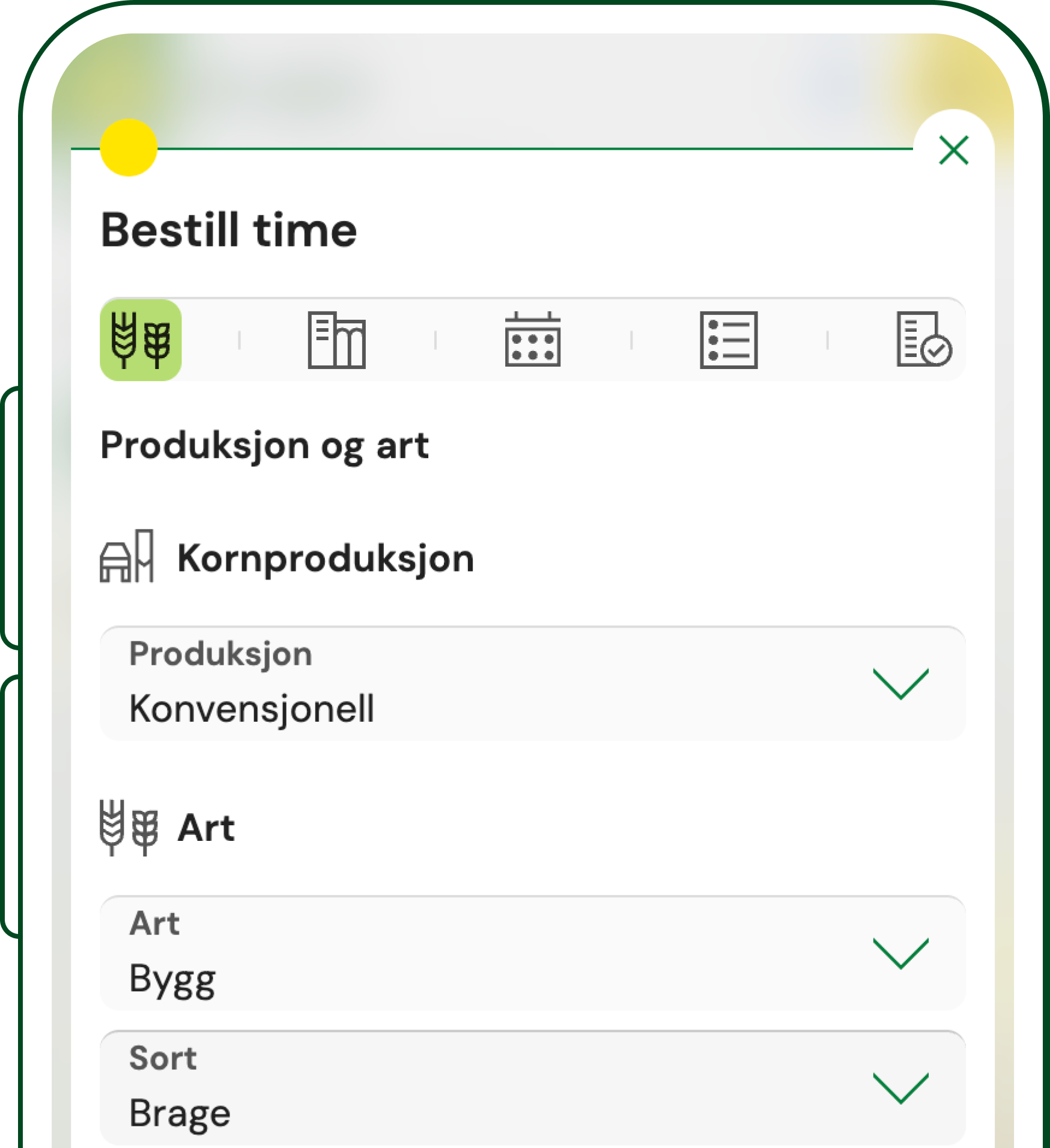 imageptqe8.png