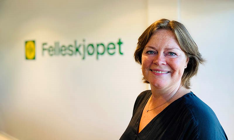 Stabil ledelse i en stadig mer urolig tid