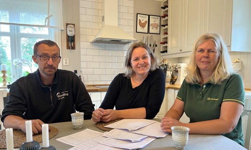 Roligere gris med ny fôring