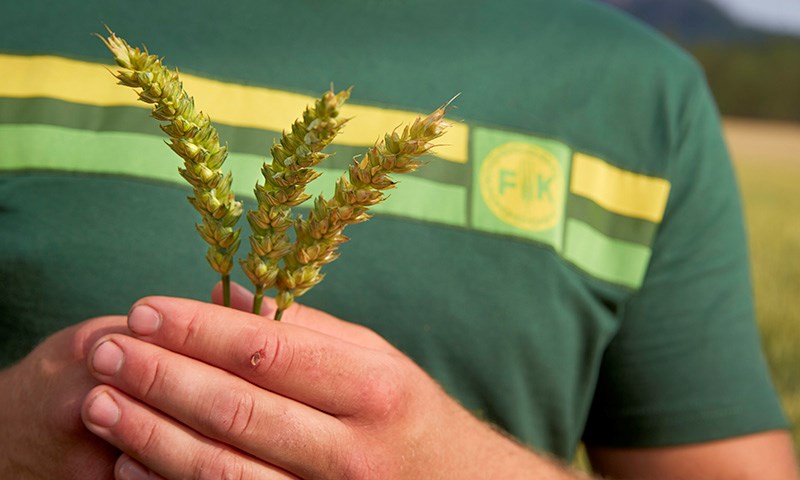 Felleskjøpet inngår gjødselavtale med svenske Nitrocapt