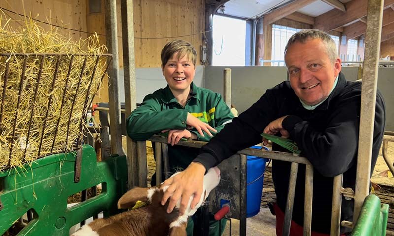 Tar vare på kalven med godt stell og kjærlighet 