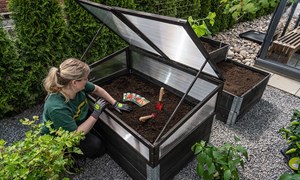 Slik blir du selvforsynt i egen hage