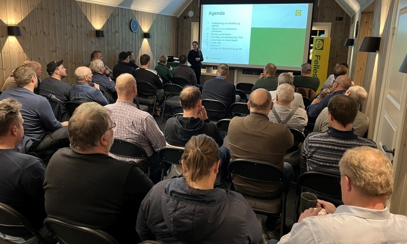 Ønsker ikke sammenslåing i Glåmdalen