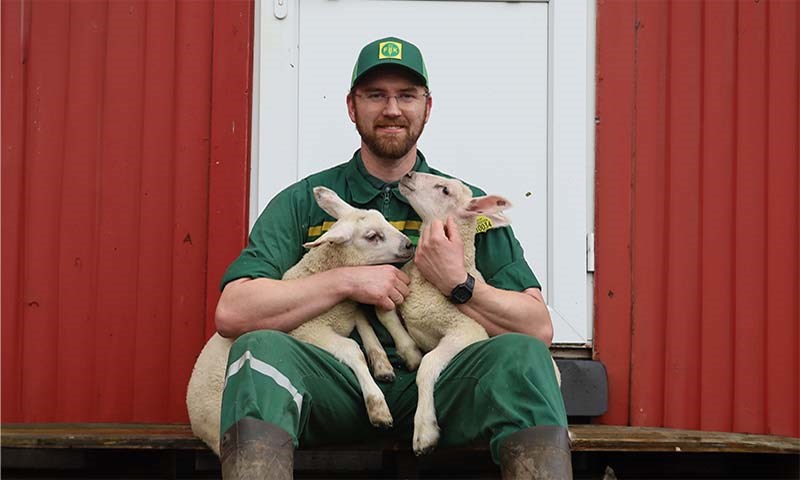 Jobber for et velfungerende samvirke