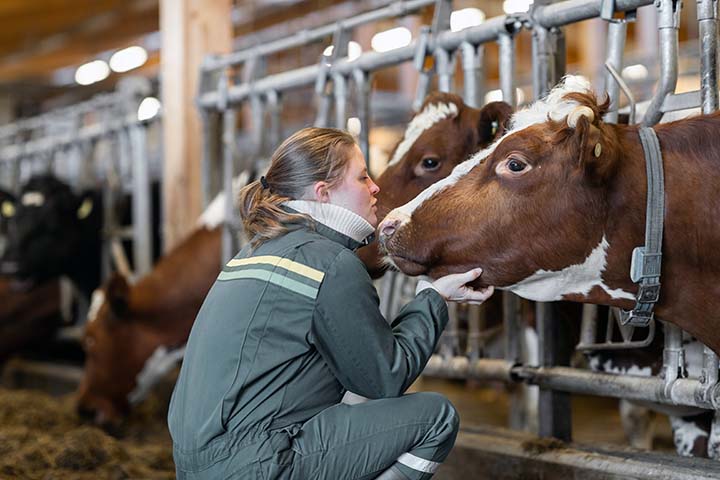 720x480 Veterinær Solveig Bugge Sveri.jpg