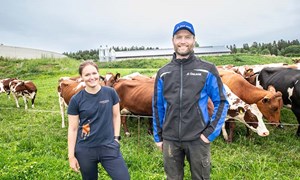 Ingen snarveier – heller ikke i fjøset