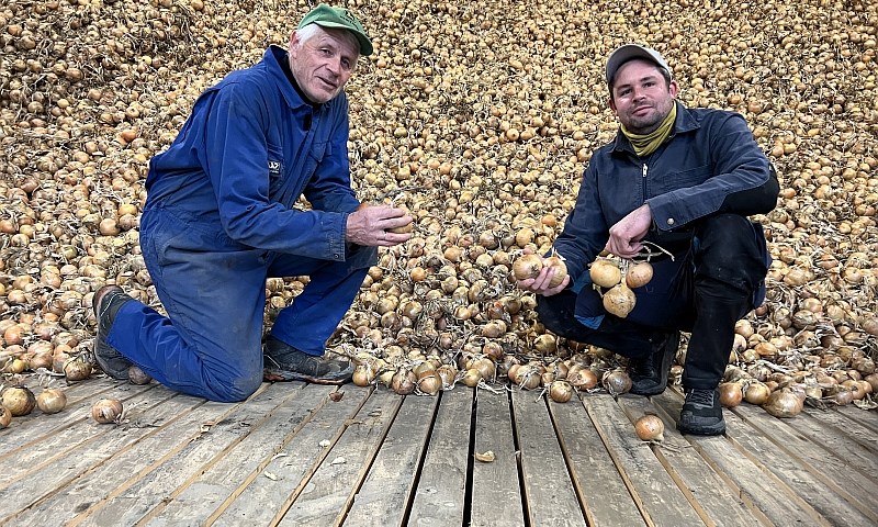 To karer i et løklager med tregulv