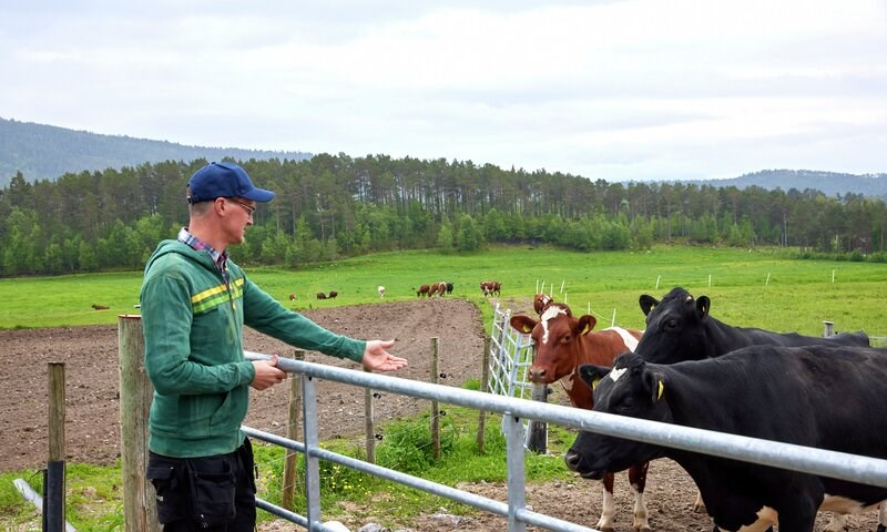 Beiting gir økt konkurransekraft