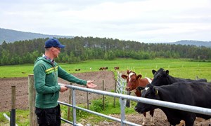 Beiting gir økt konkurransekraft