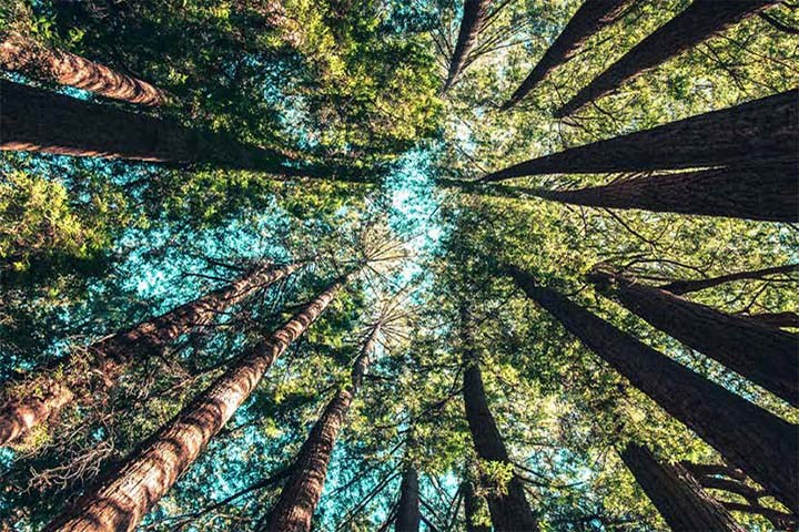 Mer sirkulære produkter