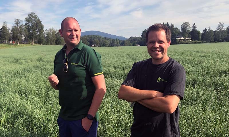 Prøv kalk, ny sort eller økohavre!