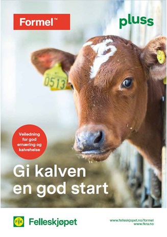 Gi kalven en god start