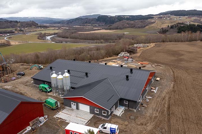 Satser stort på smågrisproduksjon i Verdal