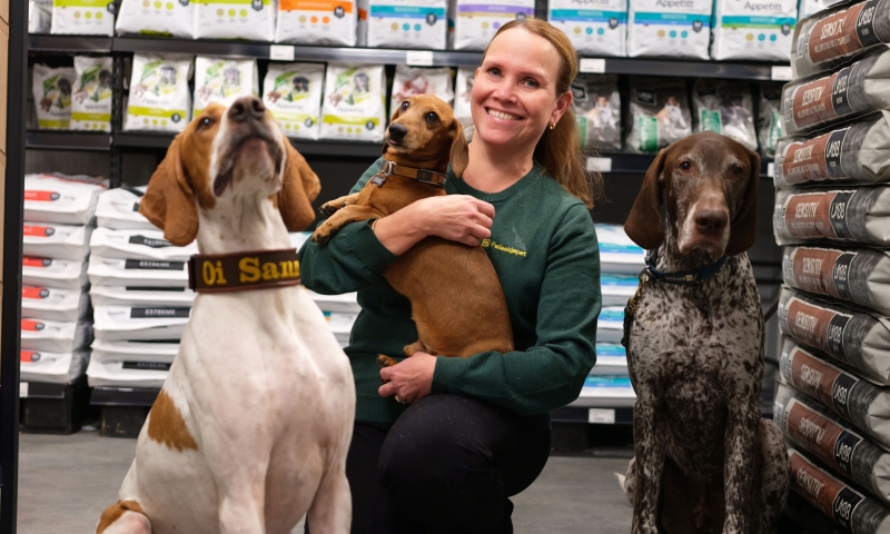 En kvinne og tre hunder med hundefôr