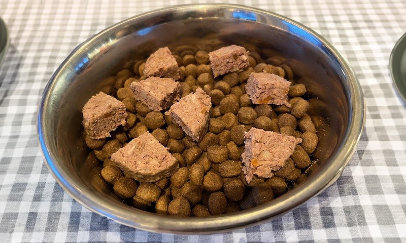 Matskål med tørrfôr og våtfôr