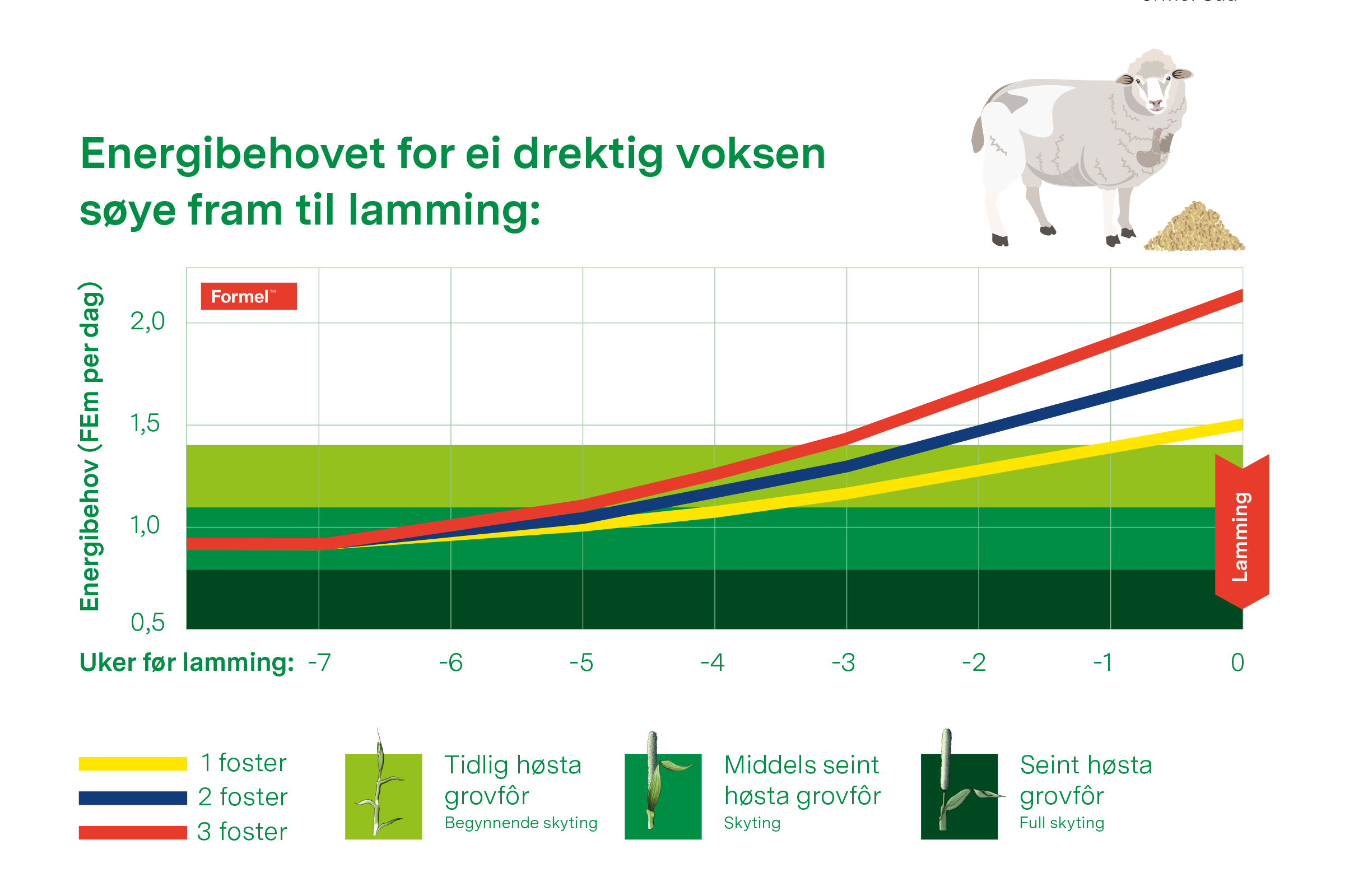 energi behov til søya.png