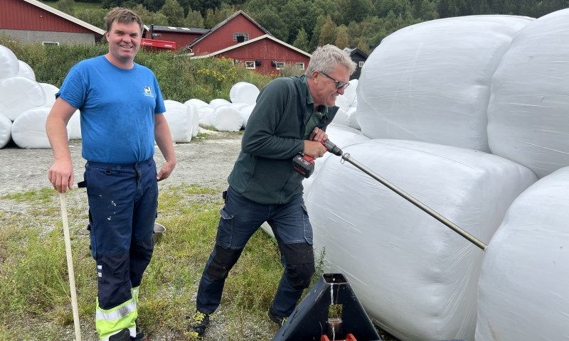 Stødig konge på avdråttstoppen