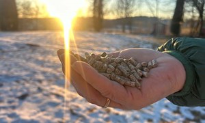 D-vitamintilskudd er nødvendig i kraftfôr