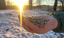 D-vitamintilskudd er nødvendig i kraftfôr