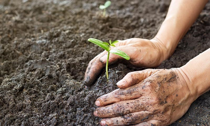 Dette er finalistene til Landbrukets bærekraftpris