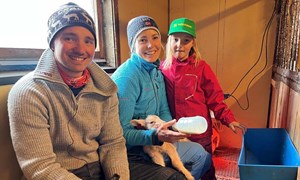 Tre vellykka adopsjoner på en dag