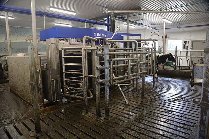 720x480 Melkerobot Delaval VMS300.jpg