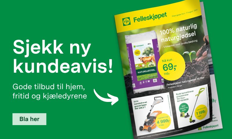 Klikk her for å bla i kundeavisen