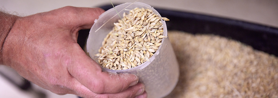 Hånd som holder en kopp med korn