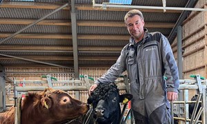 Satser på Dexter og ny rundballepresse på Vigra