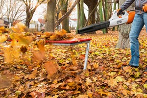 Rydd i hagen med en løvblåser