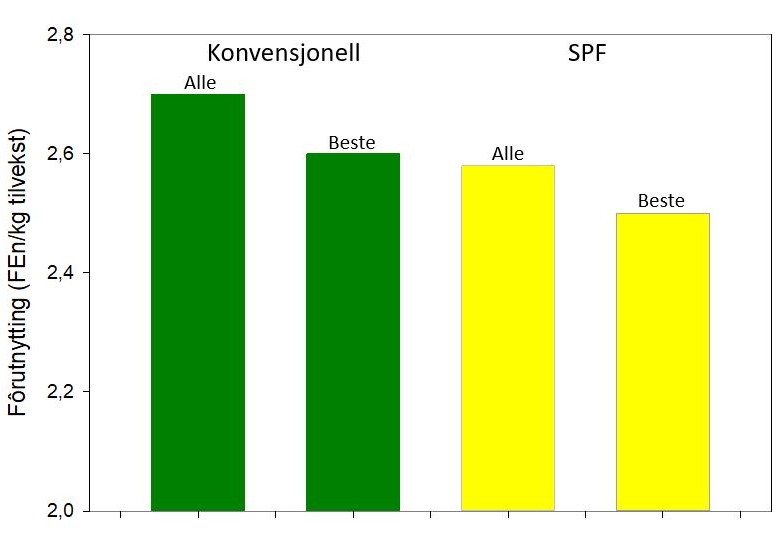 Graf som viser fôrutnyttelse i konvensjonelle besetninger og SPF