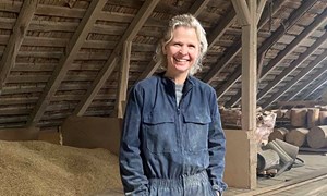 Tar vare på såkornet