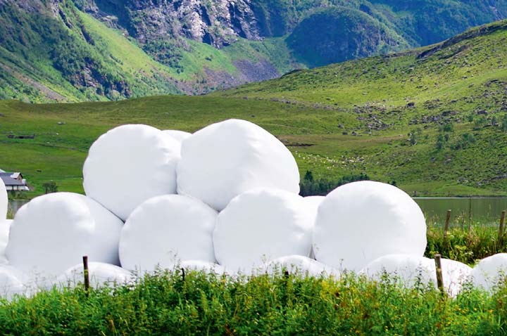 Større fôrproduksjon med norske ressurser