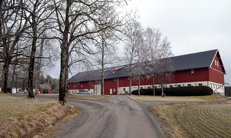 God silokapasitet gir økt lassrabatt og mulighet for fasefôring