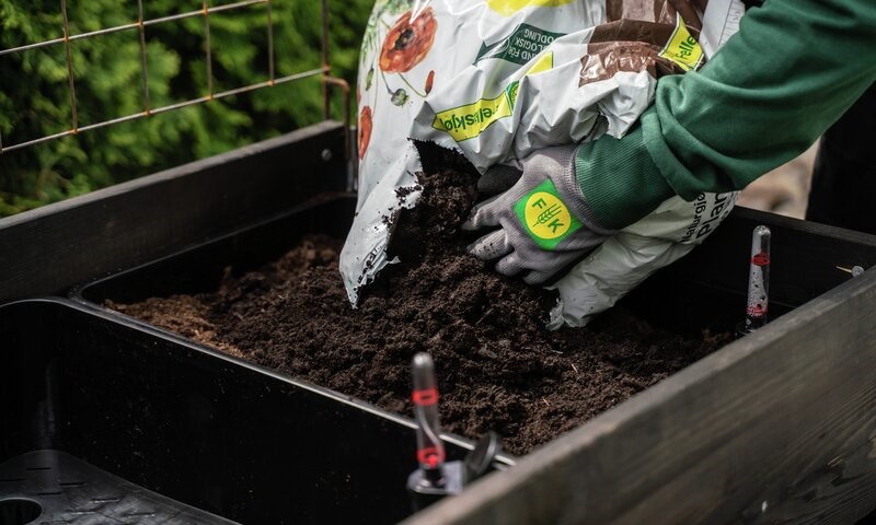 Velg torvfri jord for plantene