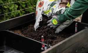 Velg torvfri jord for plantene